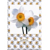 Fresh White Daffodil Wedding Invitation